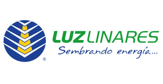 Geyser - líderes en servicios de Ingeniería y asesorías en Telecomunicaciones y Seguridad. 